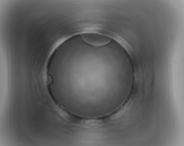 X0000113781077200910141034