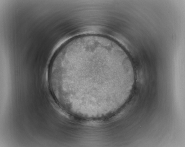 X0000113781078200910141034