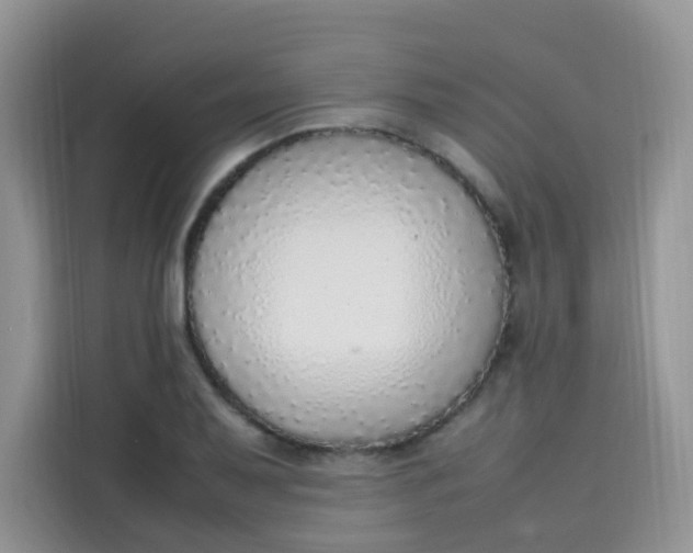 X0000113781079200910141034