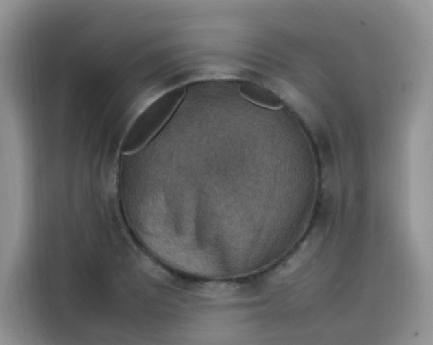 X0000113781081200910141033