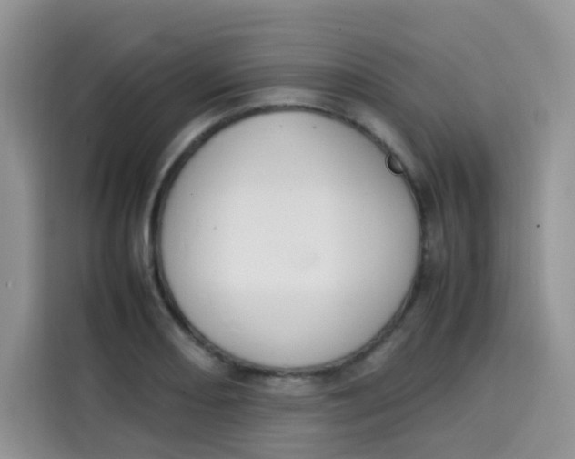 X0000113781082200910141033