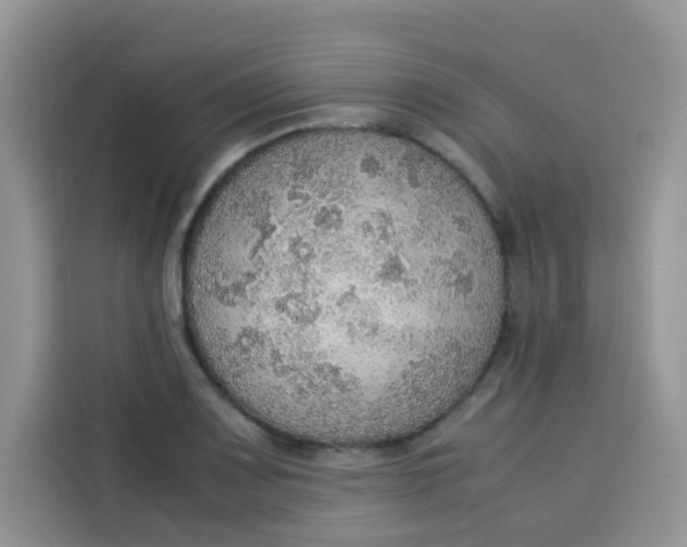 X0000113781083200910141033