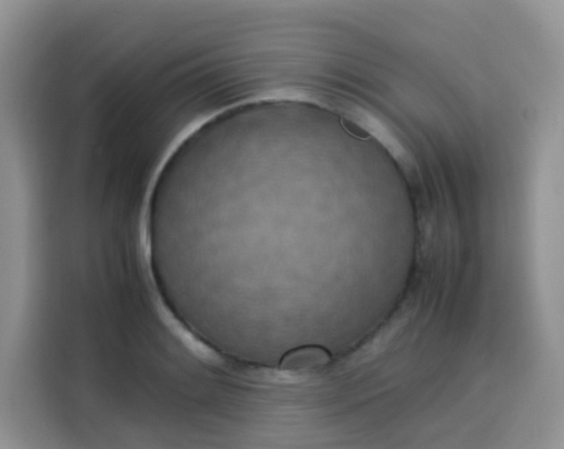 X0000113781084200910141033