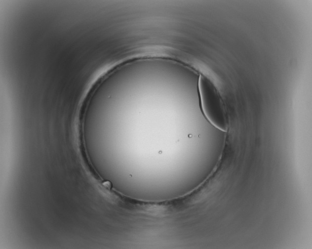 X0000113781085200910141033