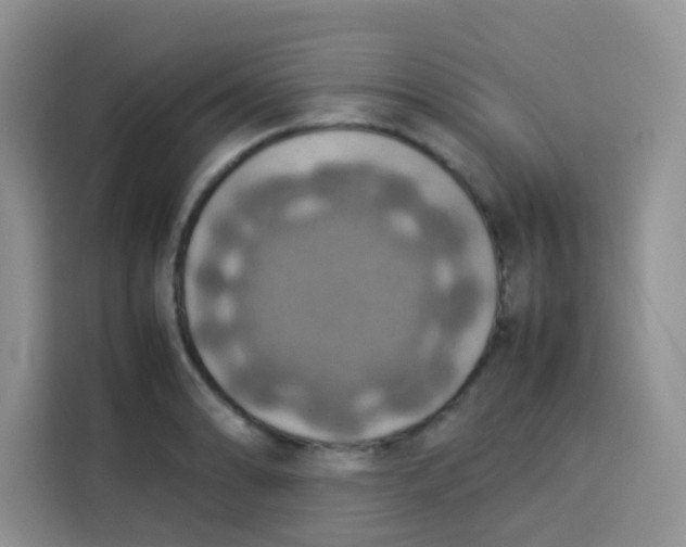 X0000113781086200910141033