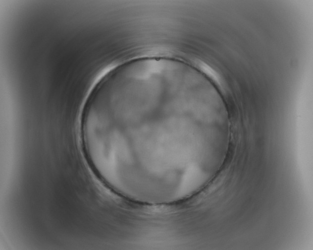 X0000113781087200910141033