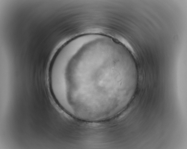 X0000113781088200910141033