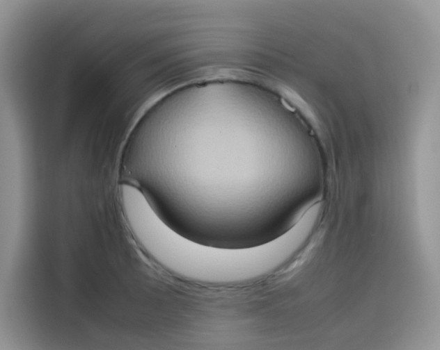 X0000113781089200910141033