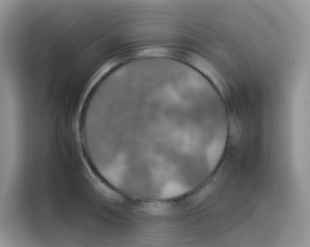 X0000113781090200910141033