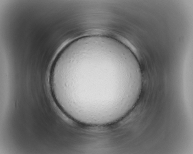 X0000113781091200910141033