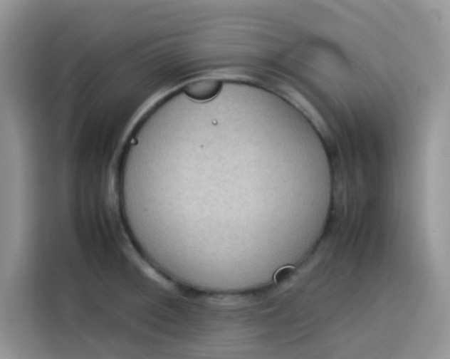 X0000113781092200910141033