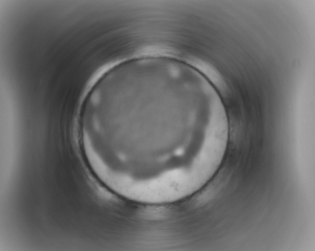 X0000113781094200910141033