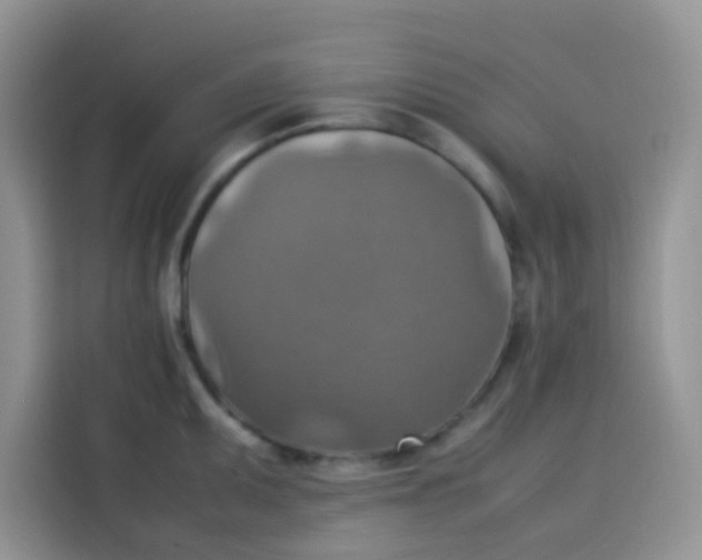 X0000113781095200910141033