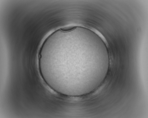 X0000113781096200910141033