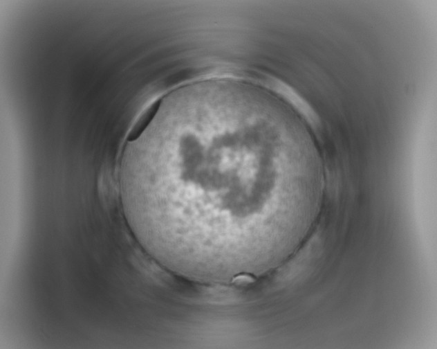 X0000113781097200910141033