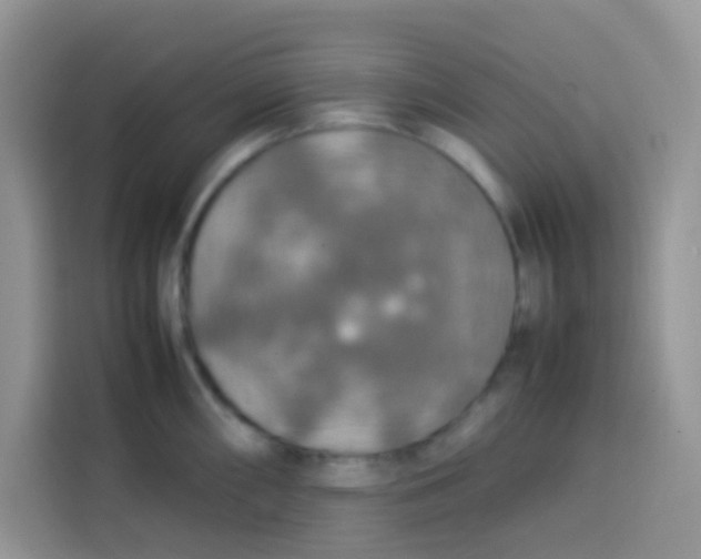 X0000113781098200910141033