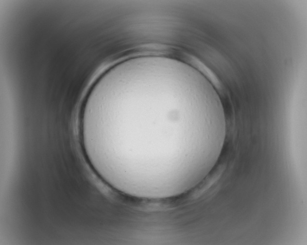 X0000113781099200910141033