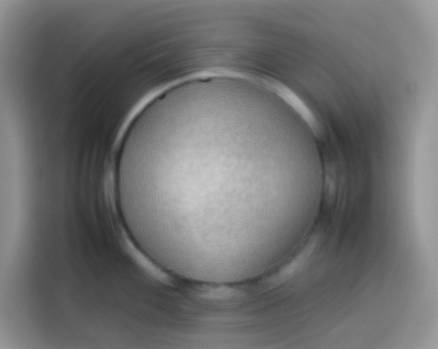 X0000113781100200910141033