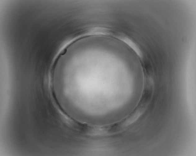 X0000113781101200910141033