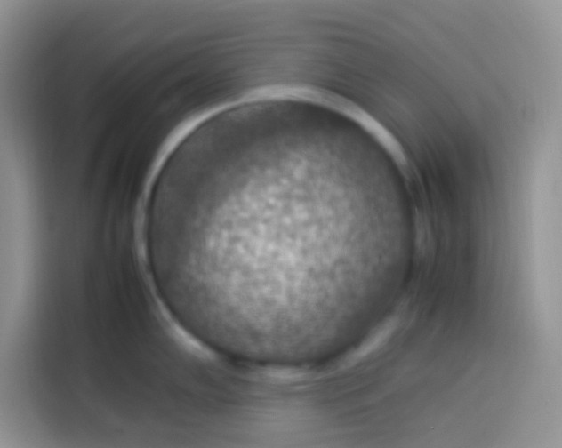 X0000113781102200910141033