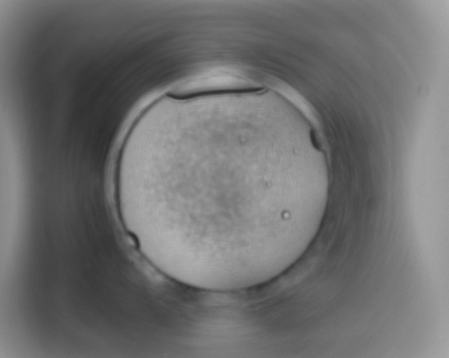 X0000113781104200910141033