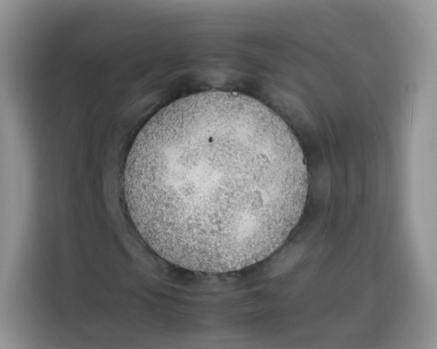 X0000113781105200910141033