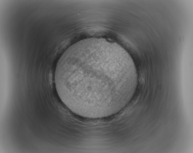 X0000113781108200910141033