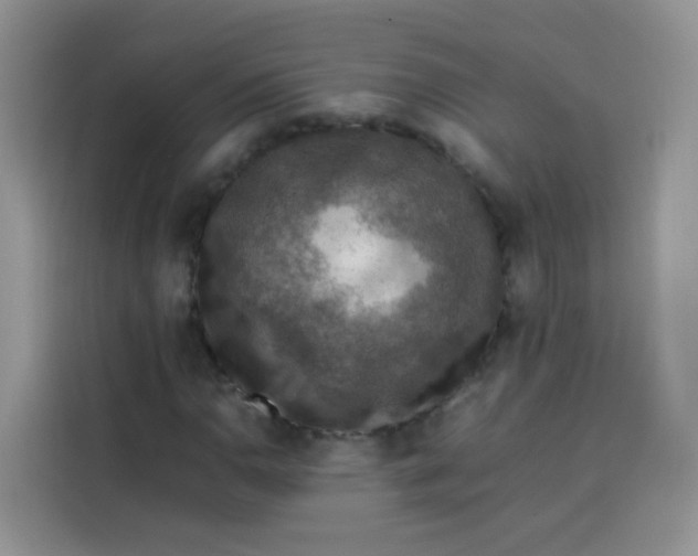 X0000113781110200910141033