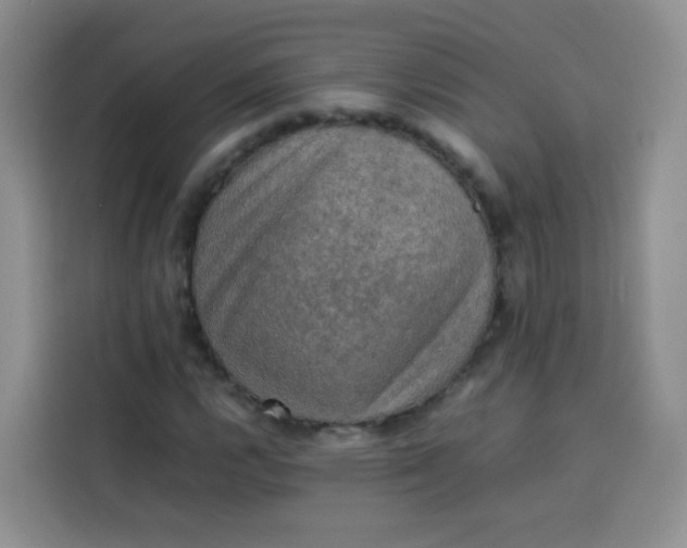 X0000113781112200910141033