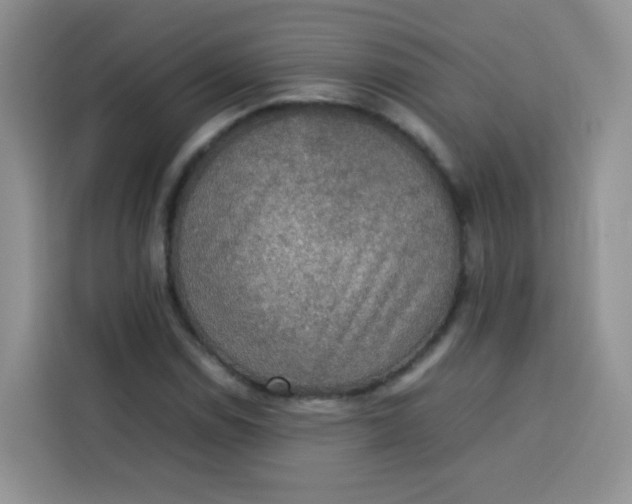 X0000113781114200910141033