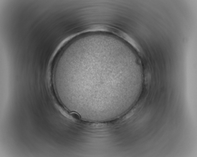 X0000113781116200910141033