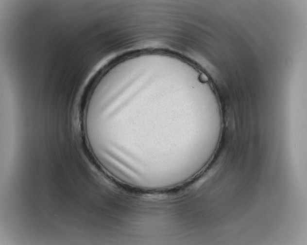 X0000113781118200910141033