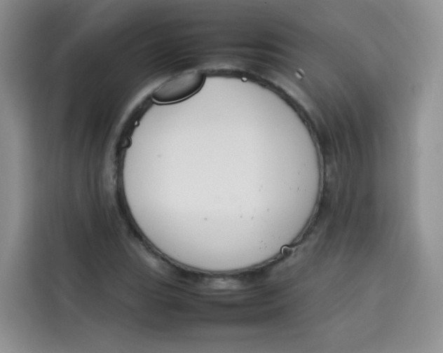 X0000113781119200910141033