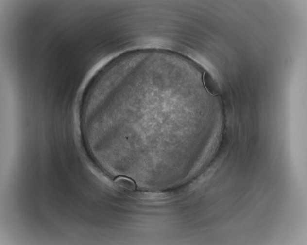 X0000113781120200910141033