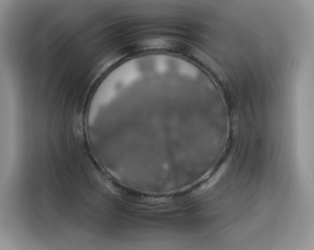 X0000113781121200910141033