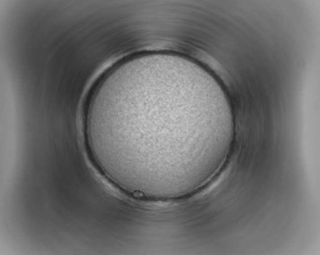 X0000113781122200910141033