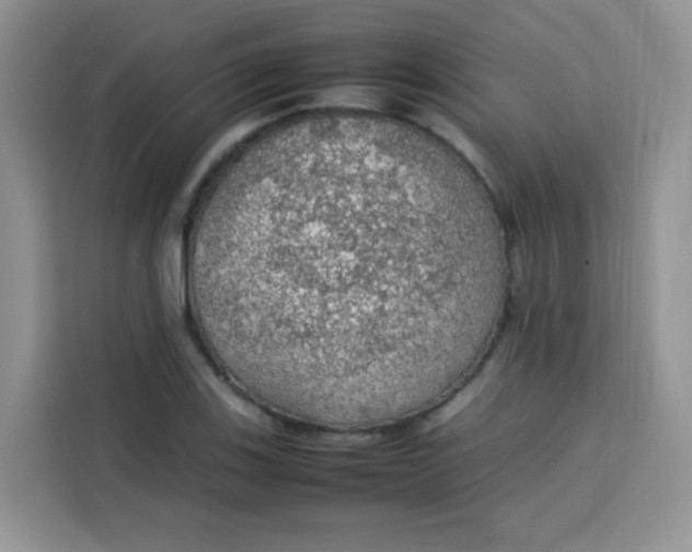 X0000113781123200910141033