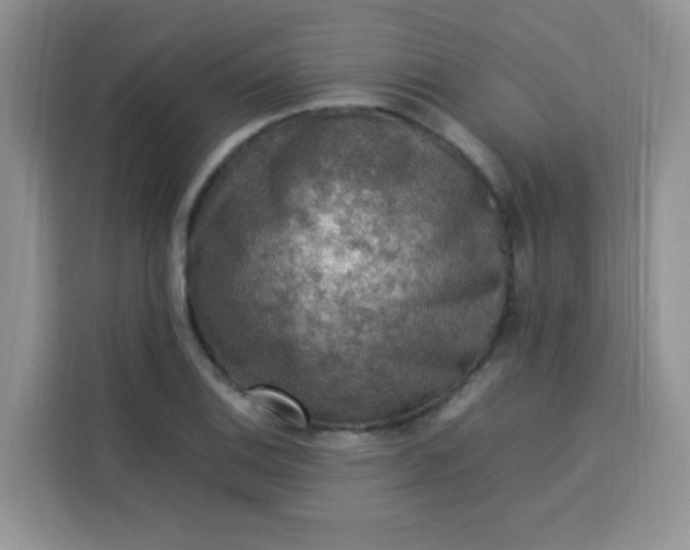 X0000113781124200910141033