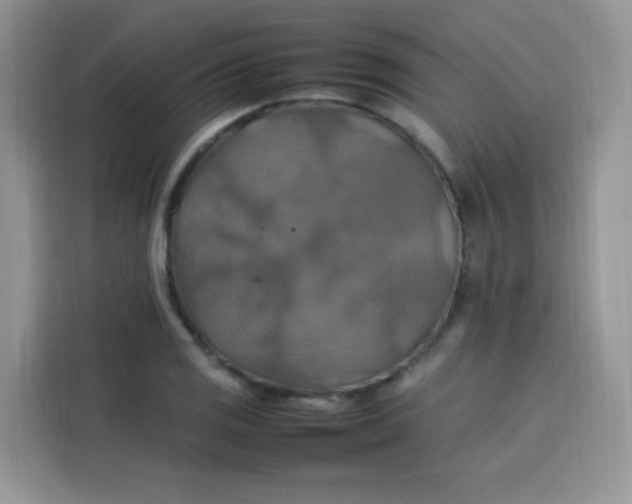 X0000113781125200910141033