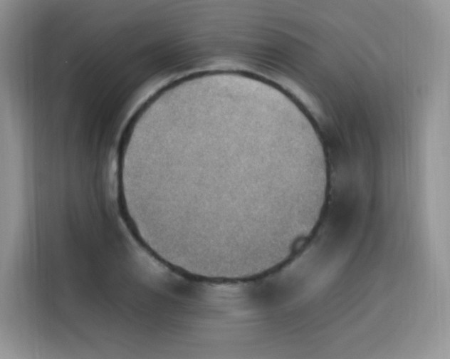 X0000113781126200910141033