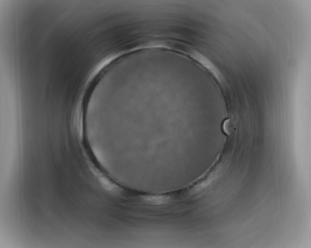 X0000113781127200910141033