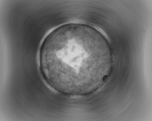 X0000113781128200910141033