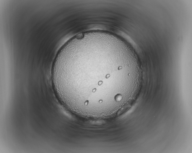 X0000113781129200910141033