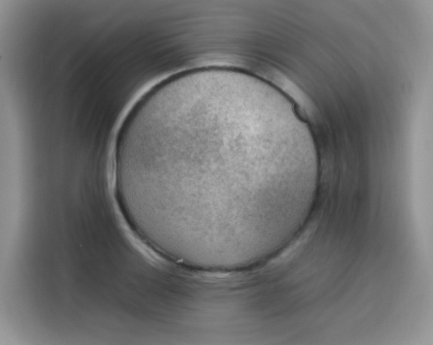 X0000113781132200910141033