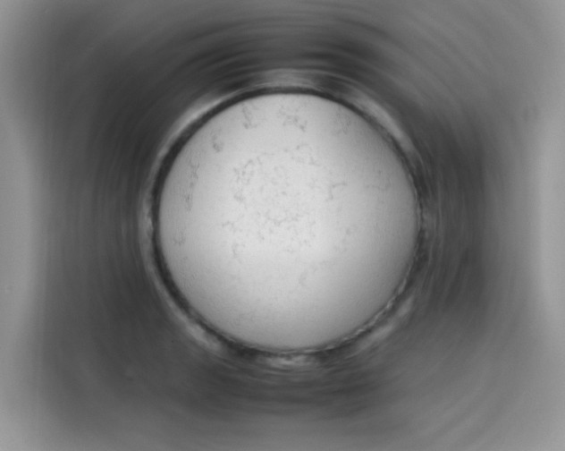 X0000113781133200910141033