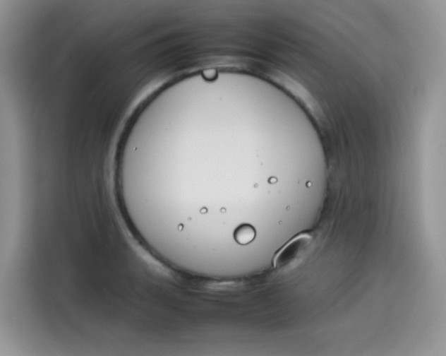 X0000113781135200910141033