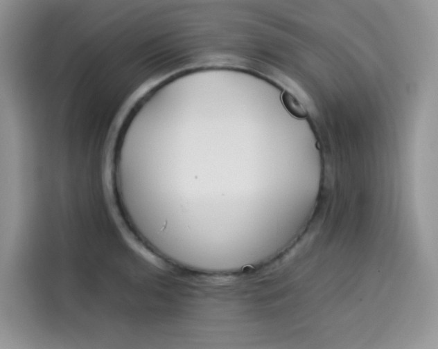 X0000113781136200910141033