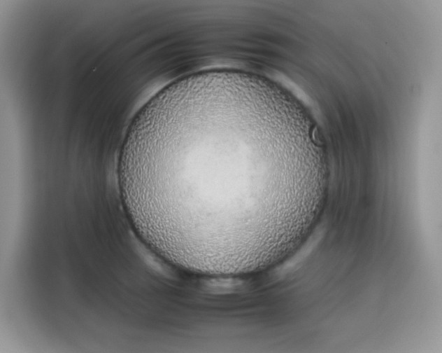 X0000113781137200910141033