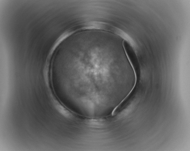 X0000113781138200910141033