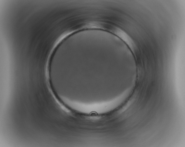 X0000113781141200910141033